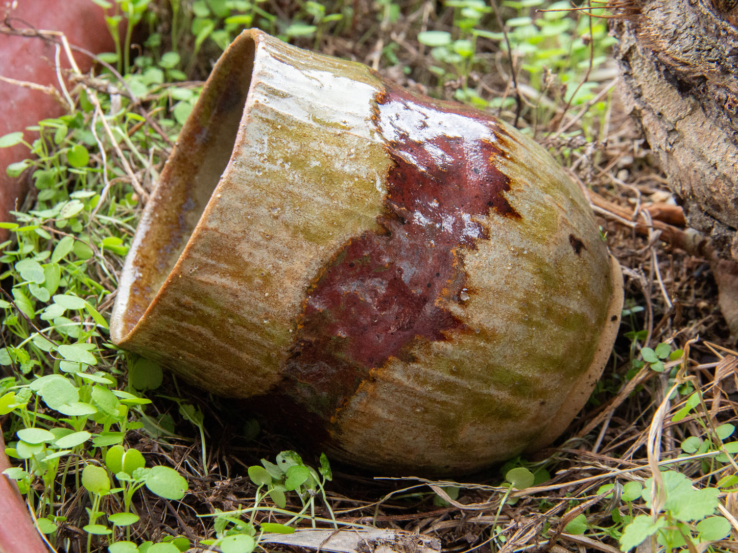 Rusty Ruby Marsh