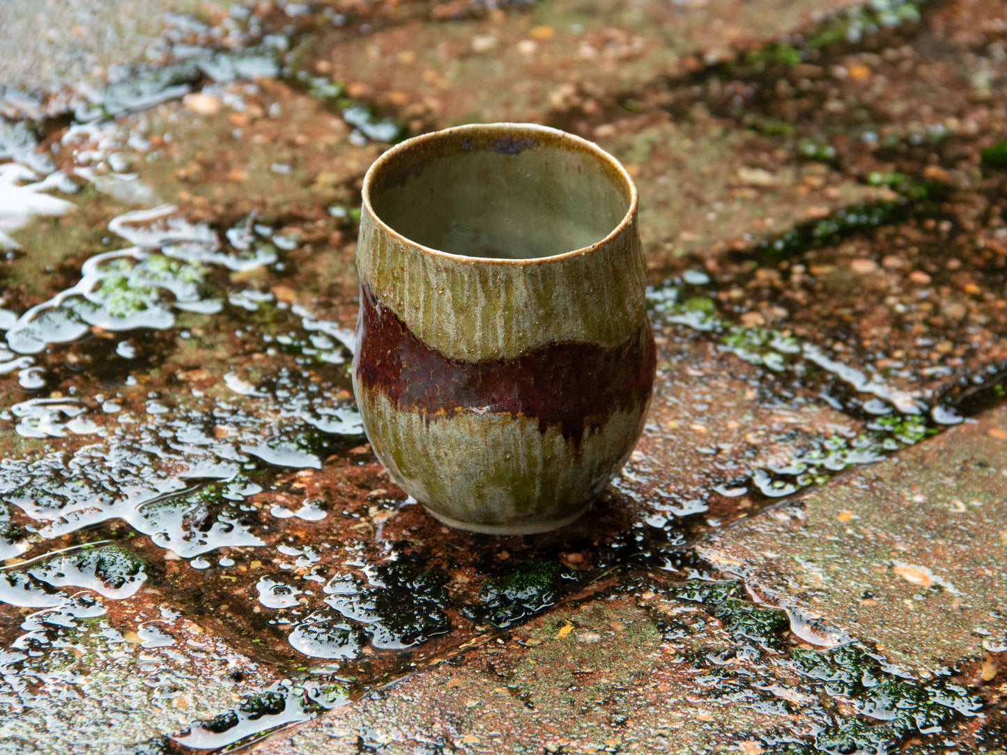 Rusty Ruby Marsh