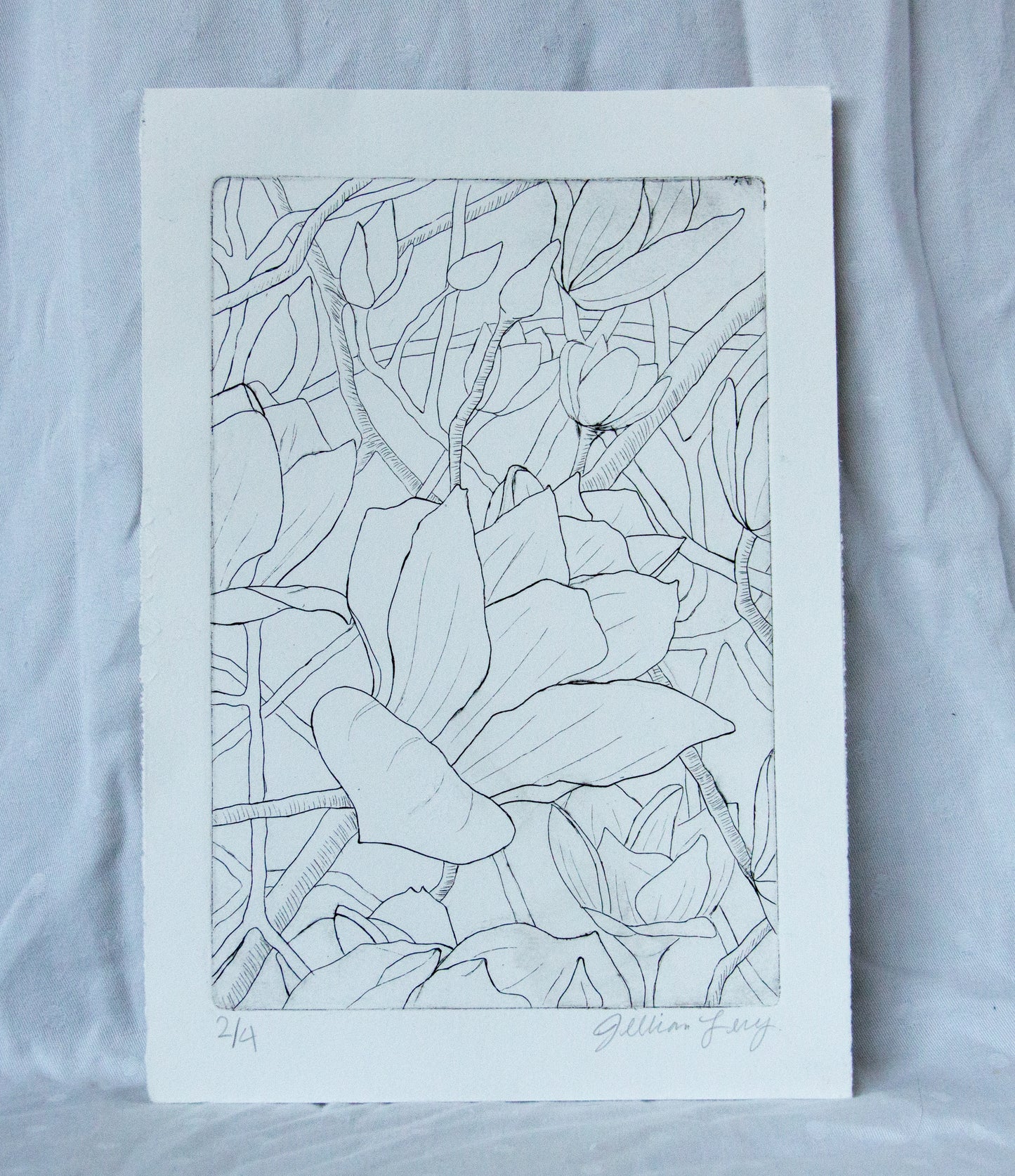 Black and White Flower